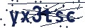 Visual verification code